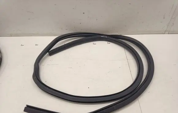 Ford Focus Front door rubber seal