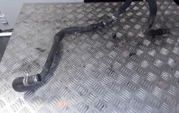 Renault Modus Engine coolant pipe/hose 800390715