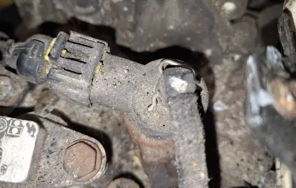 Fiat Doblo Fuel injector 0445110083