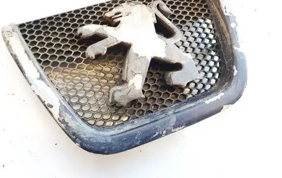 Peugeot 807 Front grill 1490016077 9002PC10