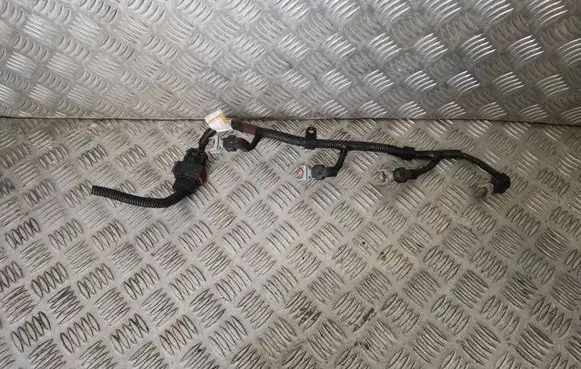 KIA Carnival Fuel injector wires 338104X500