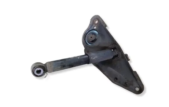 Citroen Berlingo Rear shock absorber/damper 9674213480 561739G07 814902003965