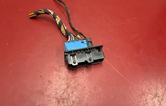 BMW X3 G01 Front door wiring loom 9221027