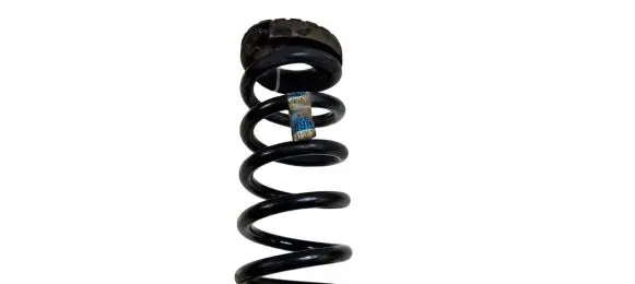 Ford Mustang VI Rear coil spring FR3C5560 FR3C5560BE Q48PA