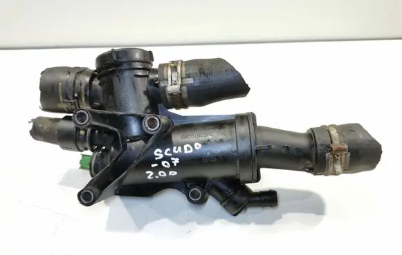 Thermostat/thermostat housing