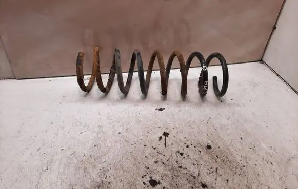 Ford Focus C-MAX Rear coil spring