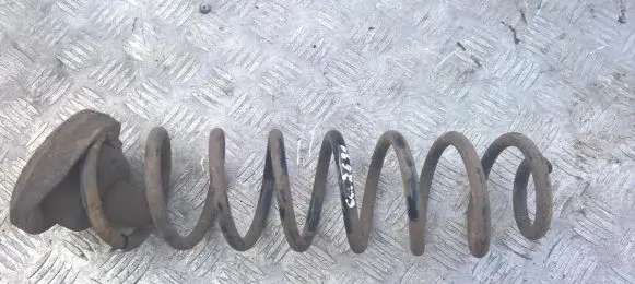Renault Megane II Rear coil spring