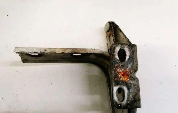 Renault Master II Engine bonnet/hood hinges 1244241