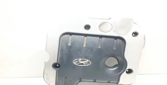 Hyundai Santa Fe Engine cover (trim)