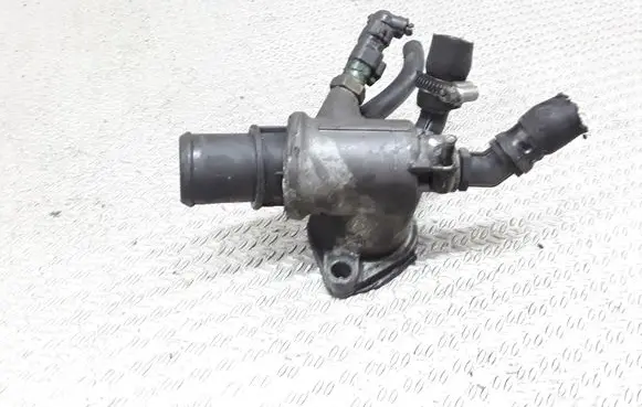 Thermostat/thermostat housing