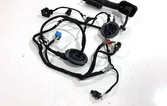 Front door wiring loom