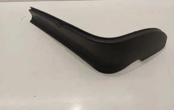 Rear/tail light trim molding