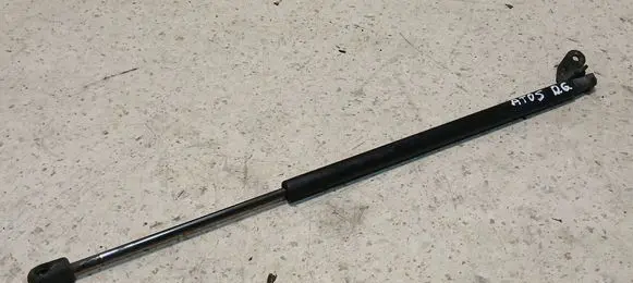 Tailgate/trunk strut/damper
