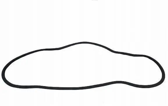 Chrysler Pacifica Rubber seal rear door ORG32413432