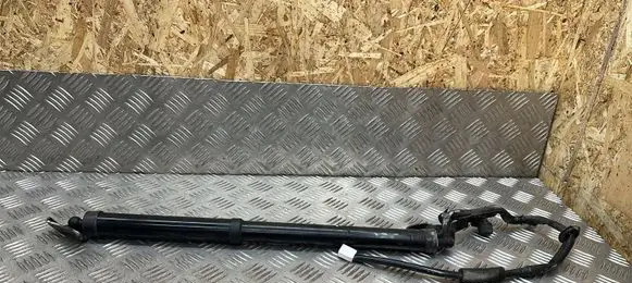 Toyota RAV 4 (XA40) Tailgate/trunk strut/damper 6892042042 8030210614