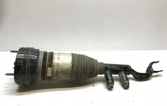 Mercedes-Benz EQS V297 Rear shock absorber/damper A2973209501