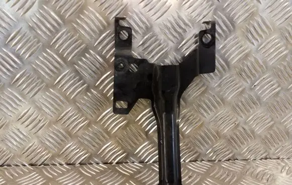 Engine bonnet/hood lock trim molding