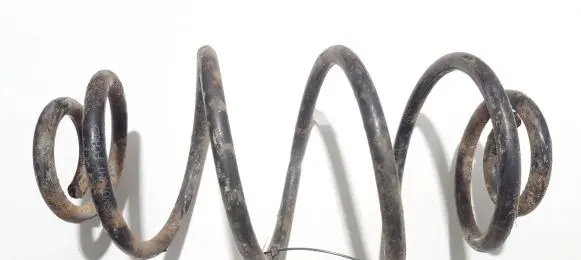 Rear coil spring