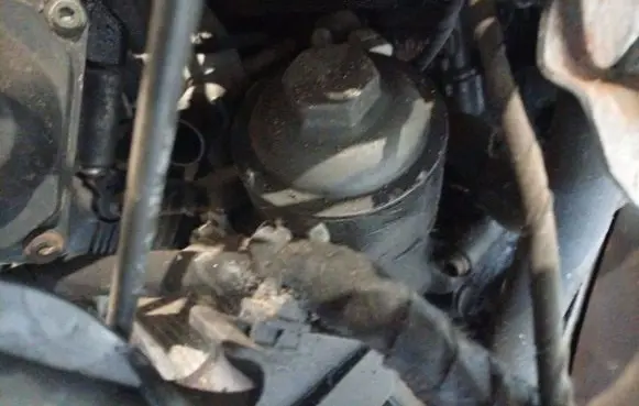 Volkswagen Cross Polo Oil filter cover