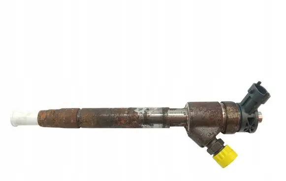 Citroen C3 Fuel injector 0445110955