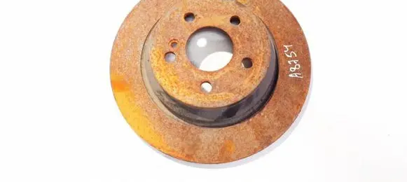 Rear brake disc
