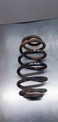 Opel Signum Rear coil spring 