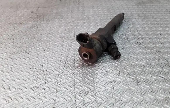 Renault Laguna II Fuel injector 7700111014