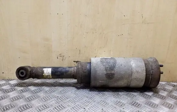 Land Rover Range Rover Sport L320 Front air suspension shock absorber RNB500223 3498720 22227491