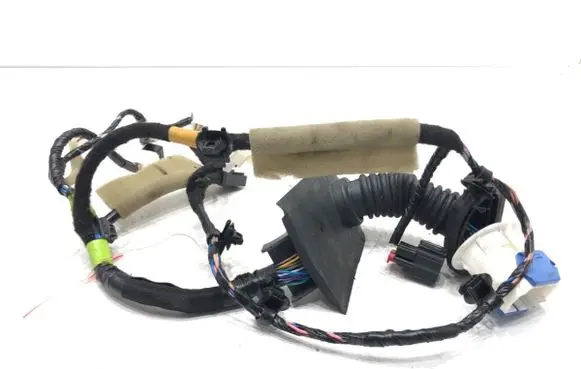 Front door wiring loom