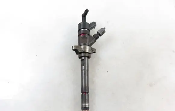 Peugeot Partner Fuel injector 0445110239
