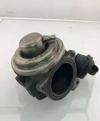 EGR valve