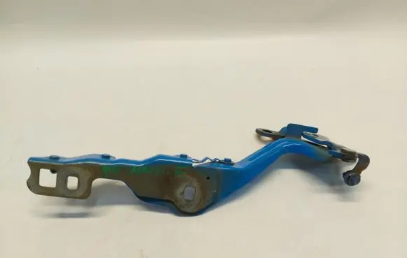 Ford Mustang Mach-E Engine bonnet/hood hinges LJ8B-R16C964-AE