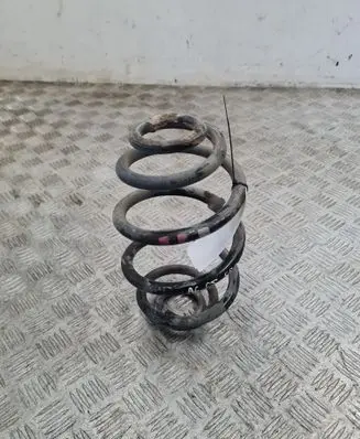 Rear coil spring