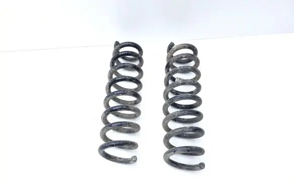 Rear coil spring
