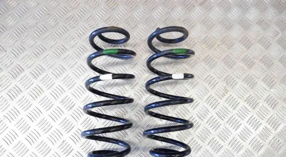 Rear coil spring