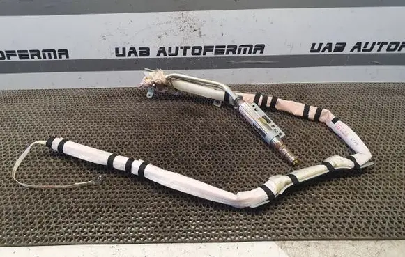 Nissan Murano Z51 Roof airbag