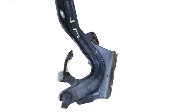 Nissan Juke I F15 Engine bonnet/hood hinges