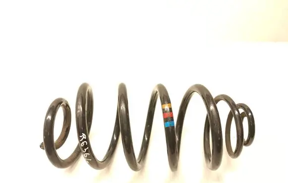 Rear coil spring