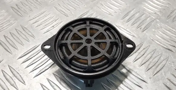 Panel speaker