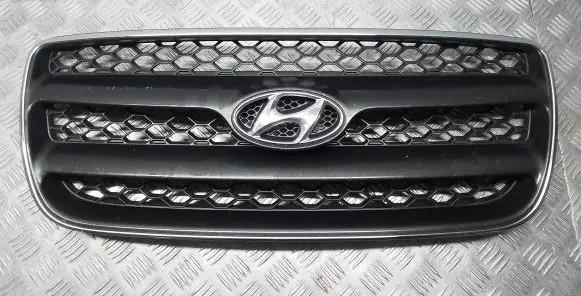 Hyundai Santa Fe Front bumper upper radiator grill E865612B000