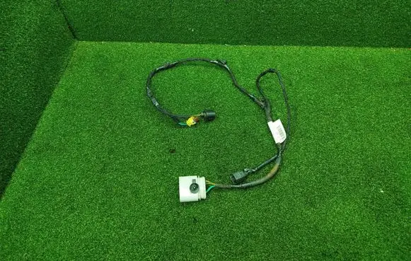 Other wiring loom