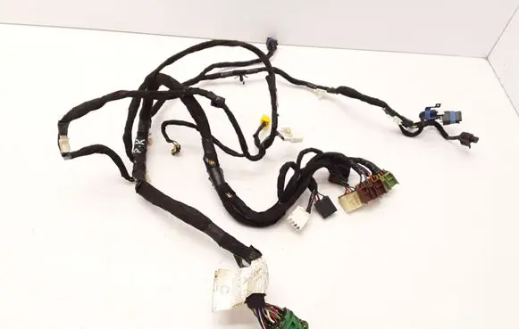 Front door wiring loom