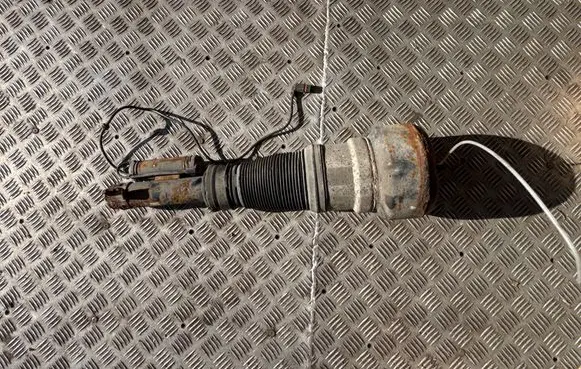 Mercedes-Benz S W221 Air suspension front shock absorber 44109462