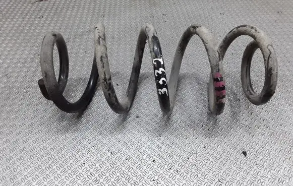 Rear coil spring