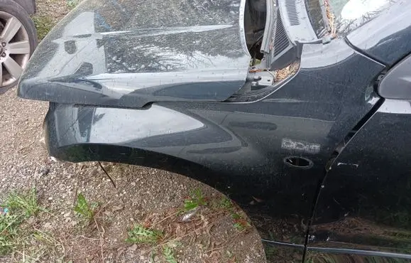 Suzuki Grand Vitara II Fender