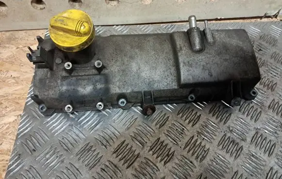 Renault Kangoo I Rocker cam cover 289223