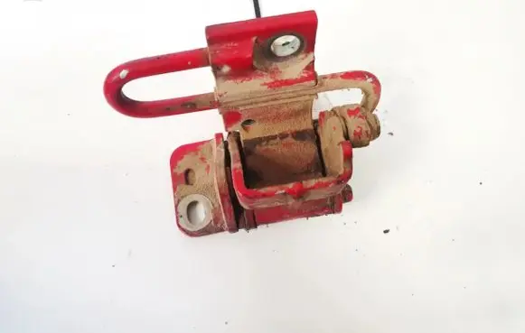 Rear door lower hinge