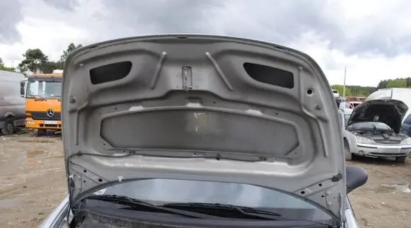Citroen C3 Pluriel Wiper trim
