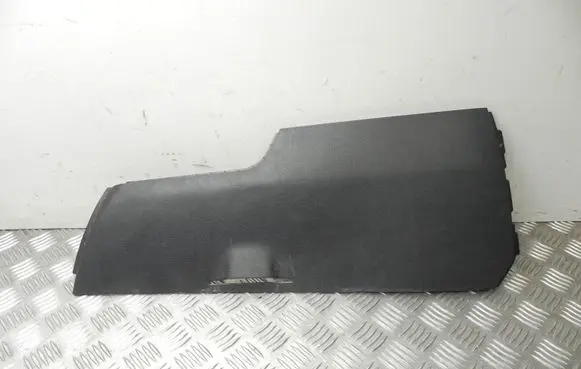 Dodge Charger Panel trim L0199906TRMAD