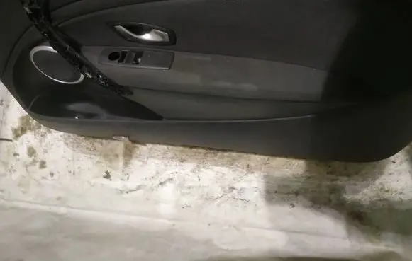 Renault Megane III Front door card panel trim 